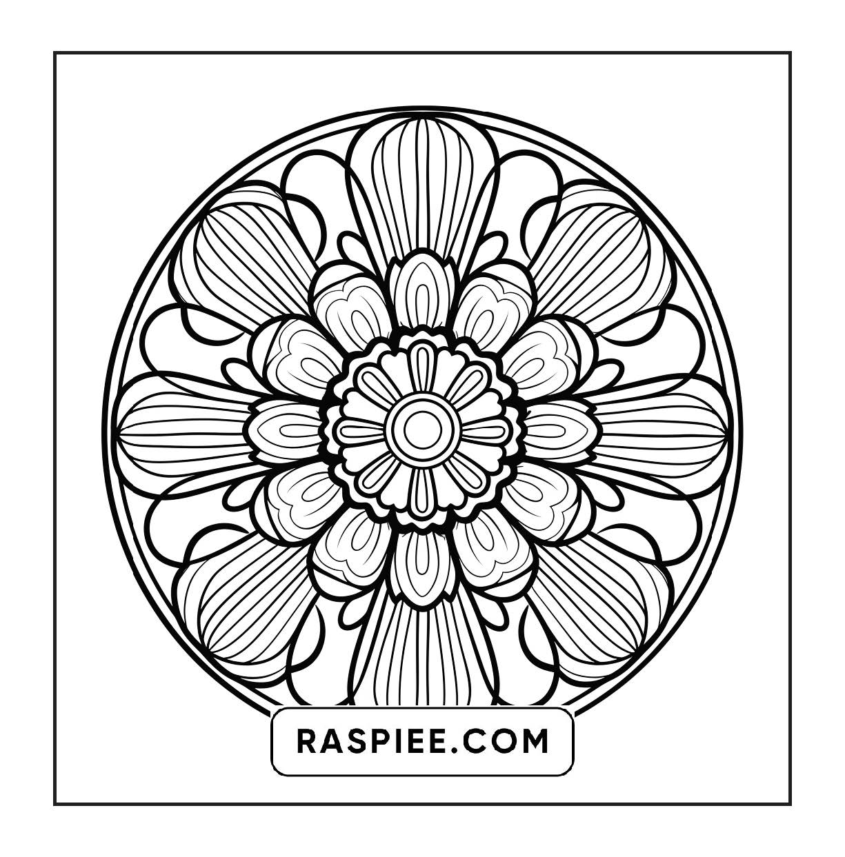 250 Mandala Adult Coloring Pages Vol.3