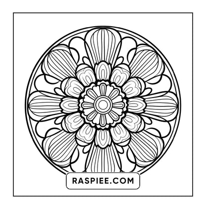 250 Mandala Adult Coloring Pages Vol.3