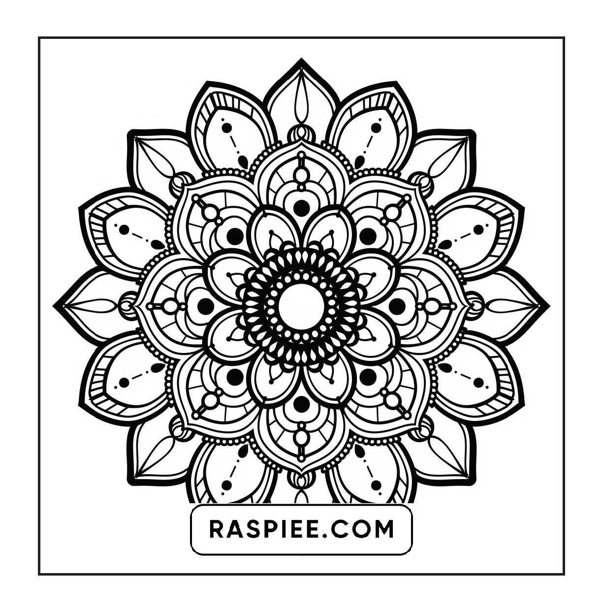 250 Mandala Adult Coloring Pages Vol.1