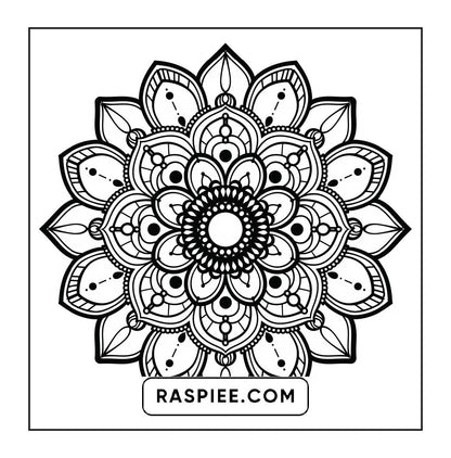 250 Mandala Adult Coloring Pages Vol.1