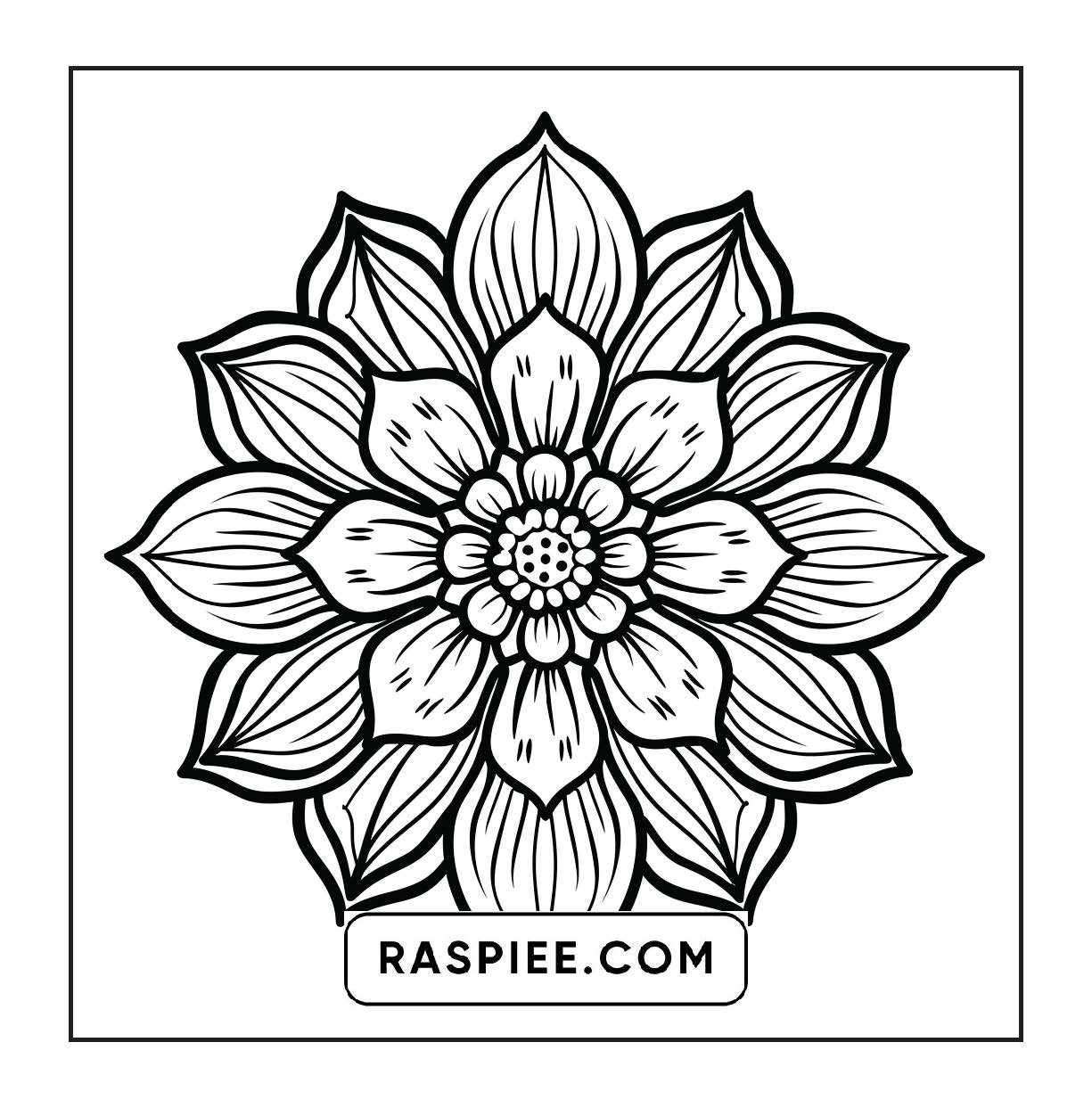 250 Mandala Adult Coloring Pages Vol.1