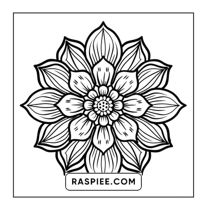 250 Mandala Adult Coloring Pages Vol.1
