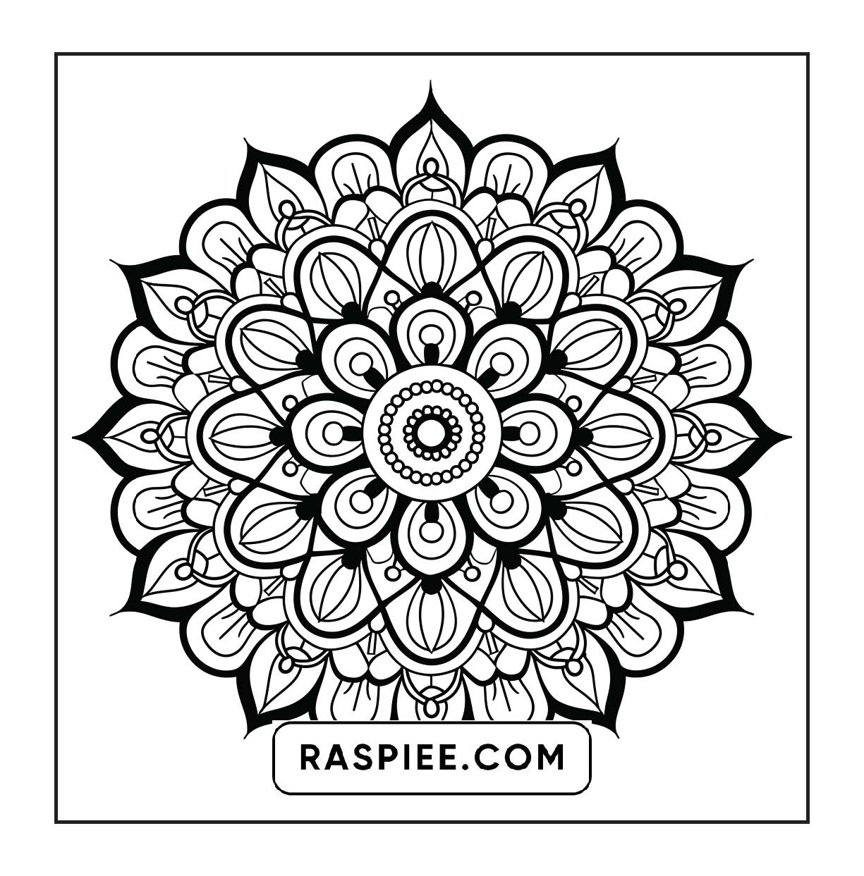 250 Mandala Adult Coloring Pages Vol.1