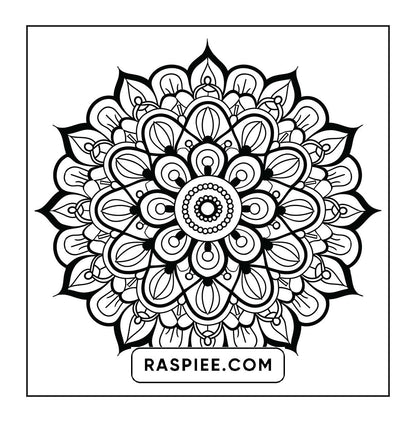 250 Mandala Adult Coloring Pages Vol.1