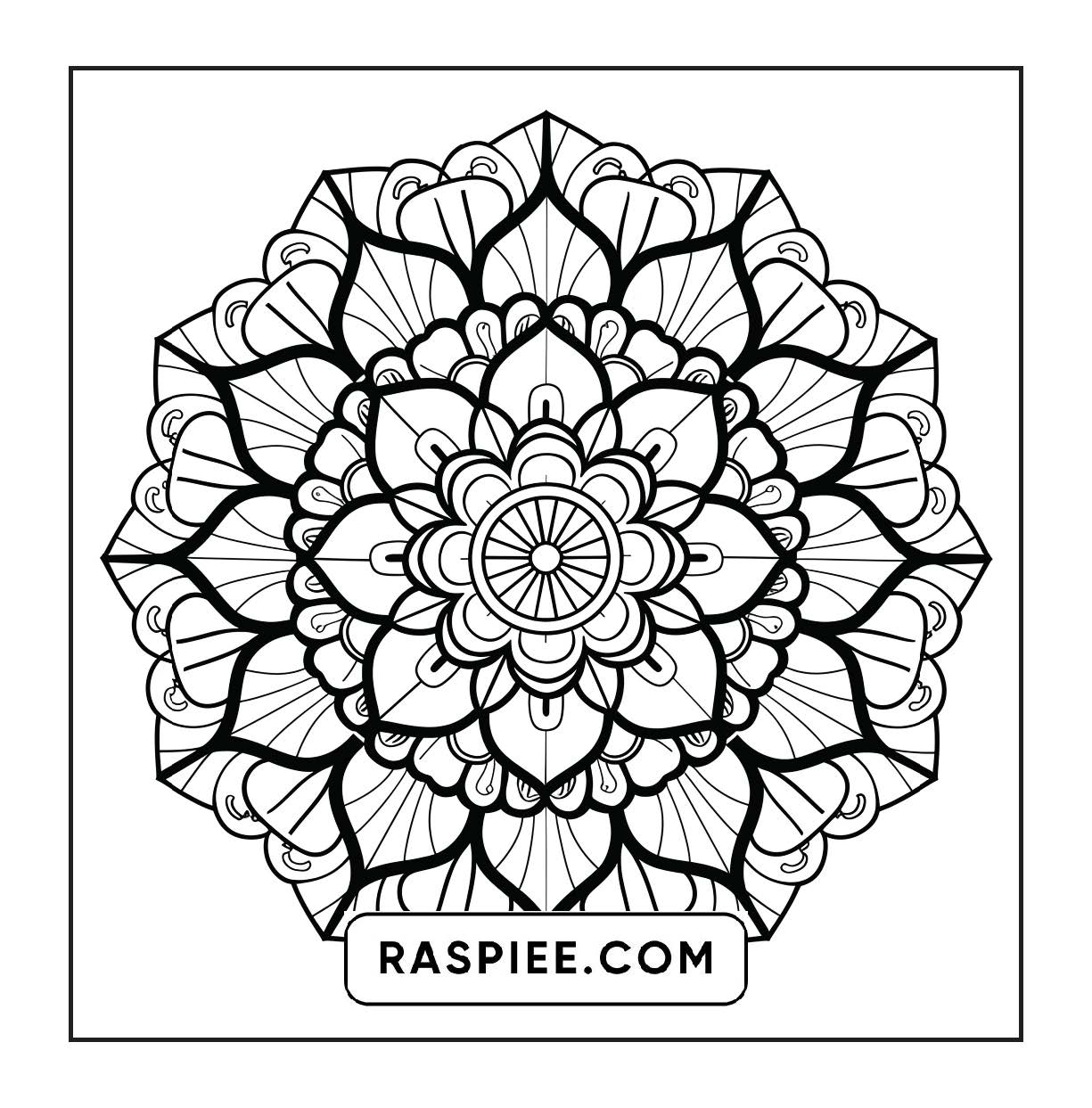 250 Mandala Adult Coloring Pages Vol.1
