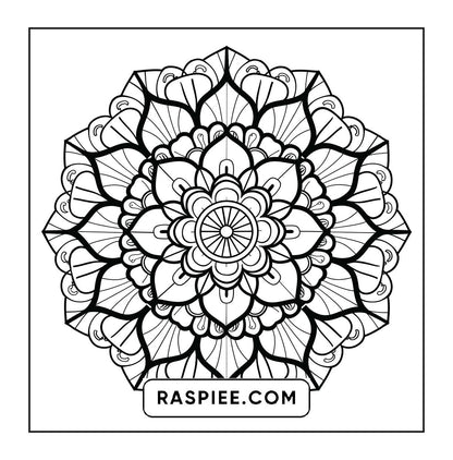 250 Mandala Adult Coloring Pages Vol.1