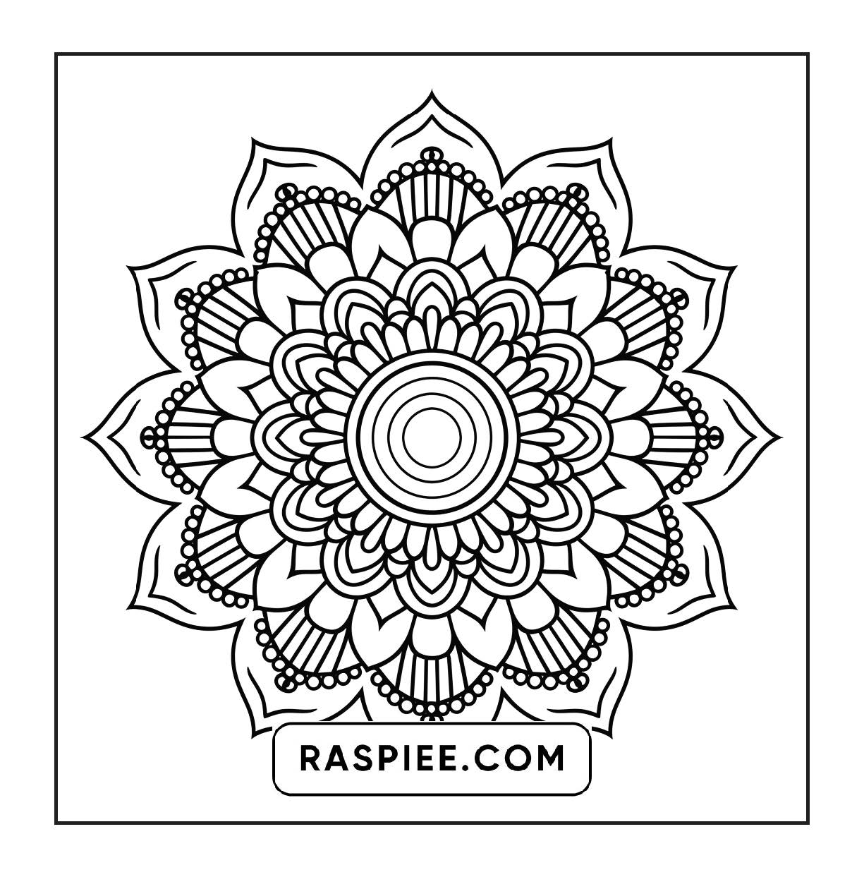 250 Mandala Adult Coloring Pages Vol.1