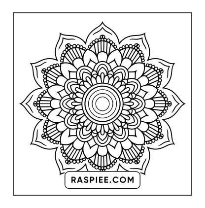 250 Mandala Adult Coloring Pages Vol.1