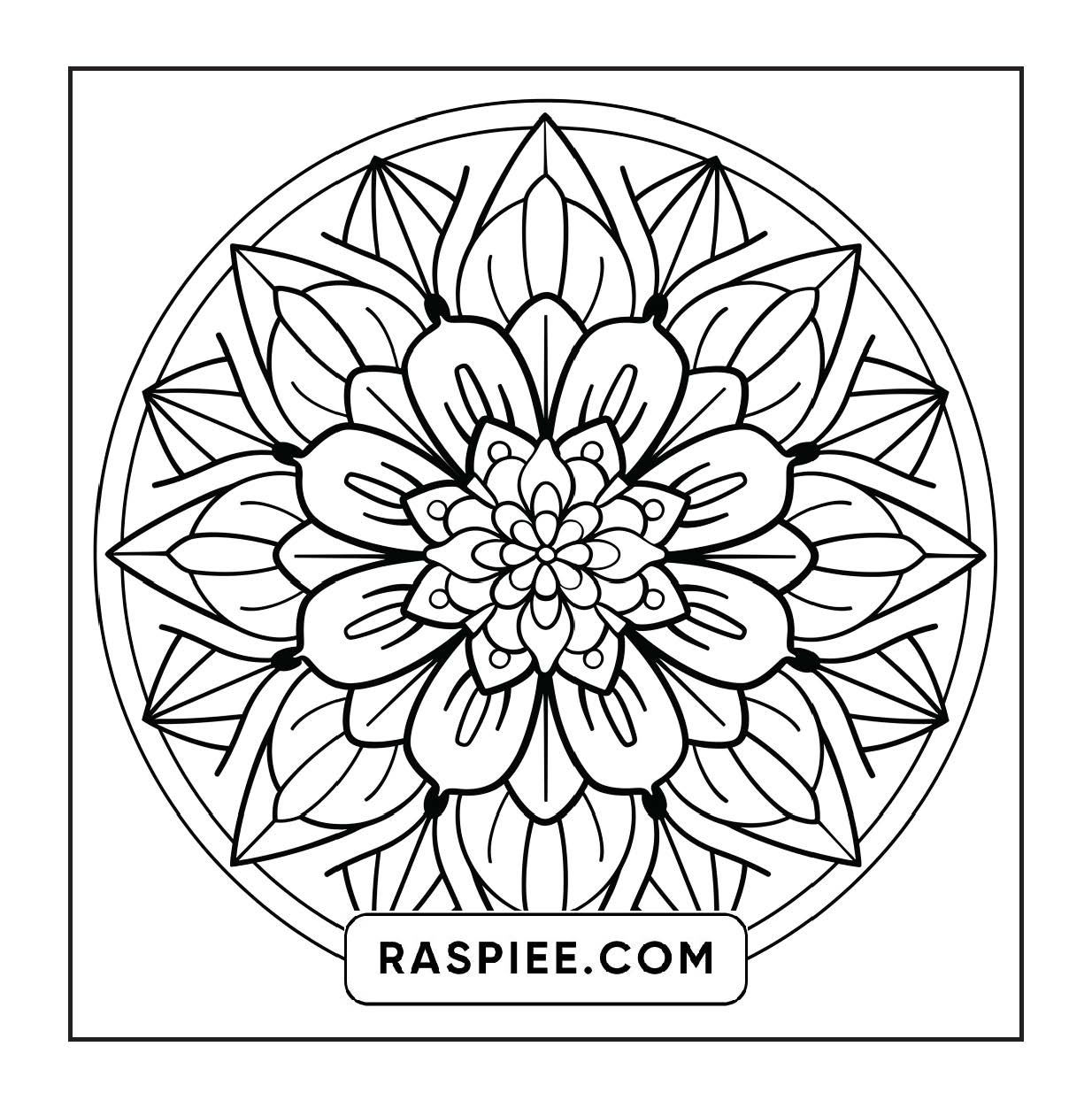 250 Mandala Adult Coloring Pages Vol.1