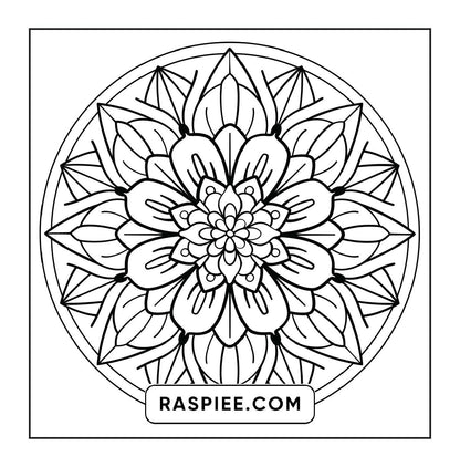 250 Mandala Adult Coloring Pages Vol.1