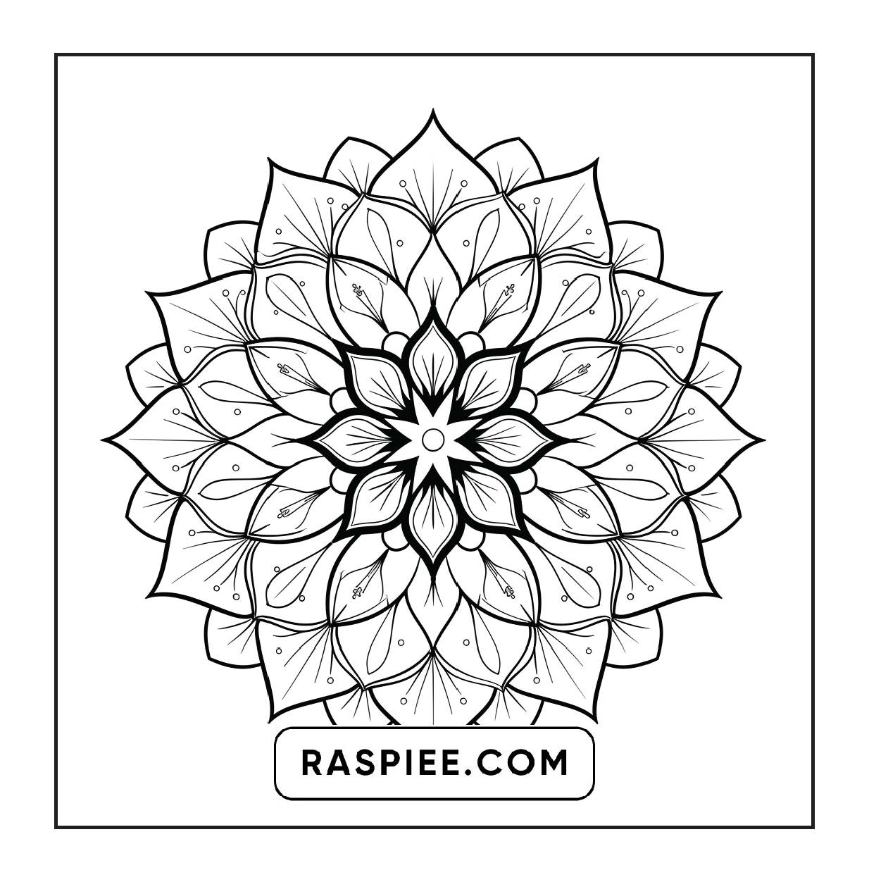 250 Mandala Adult Coloring Pages Vol.1