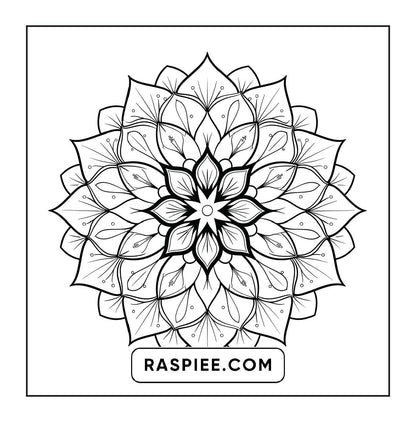 250 Mandala Adult Coloring Pages Vol.1