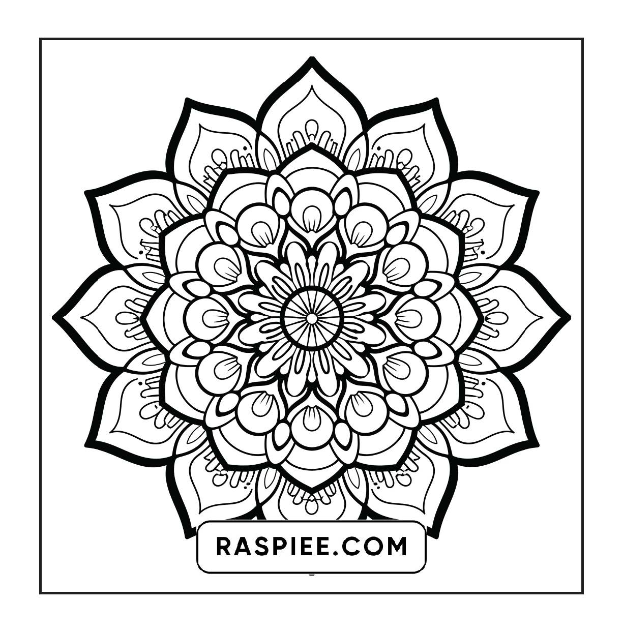 250 Mandala Adult Coloring Pages Vol.1