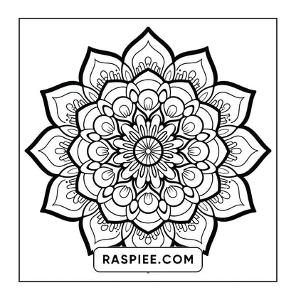 250 Mandala Adult Coloring Pages Vol.1