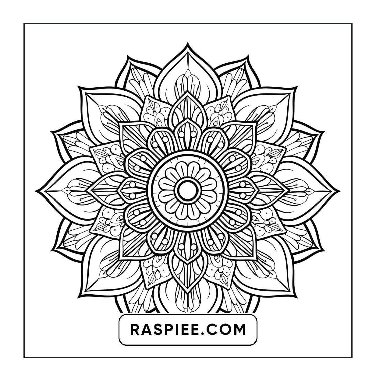 250 Mandala Adult Coloring Pages Vol.1