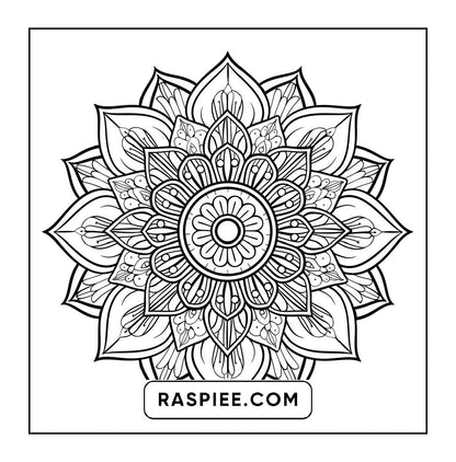 250 Mandala Adult Coloring Pages Vol.1