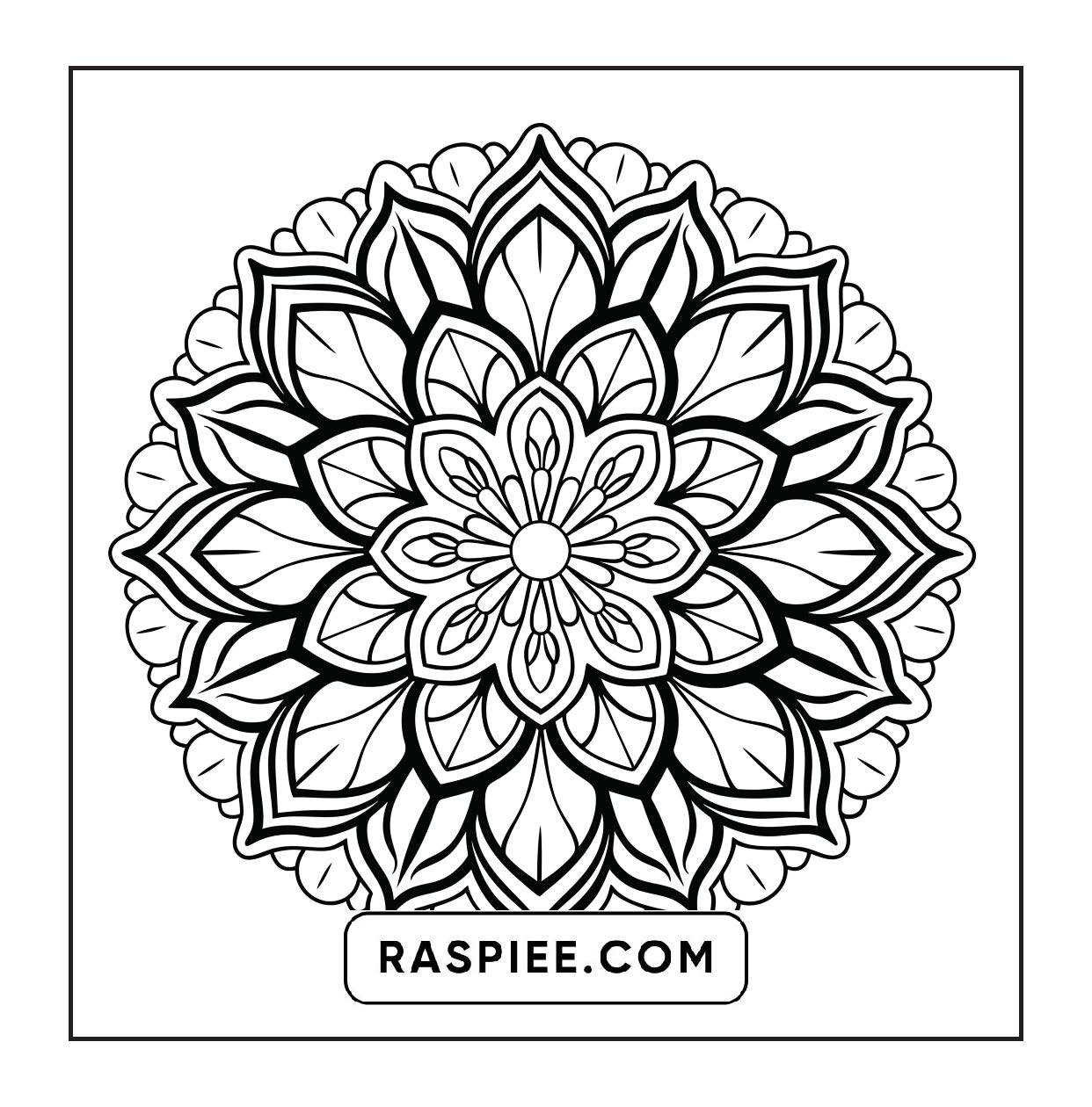 250 Mandala Adult Coloring Pages Vol.1