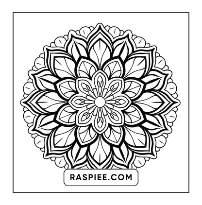 250 Mandala Adult Coloring Pages Vol.1
