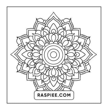 250 Mandala Adult Coloring Pages Vol.1