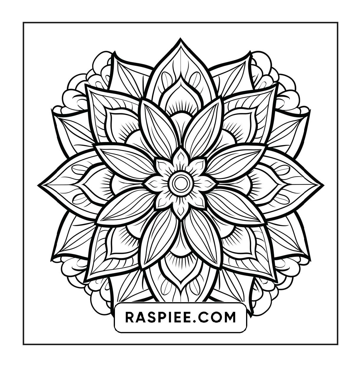 250 Mandala Adult Coloring Pages Vol.1