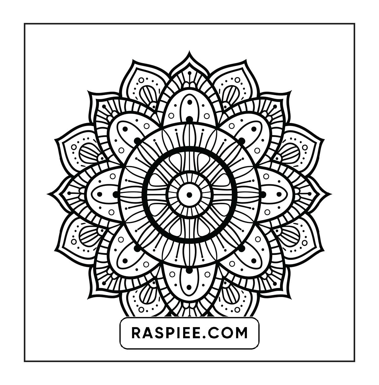 250 Mandala Adult Coloring Pages Vol.1