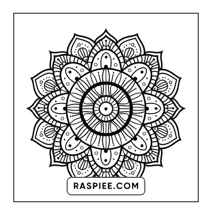 250 Mandala Adult Coloring Pages Vol.1