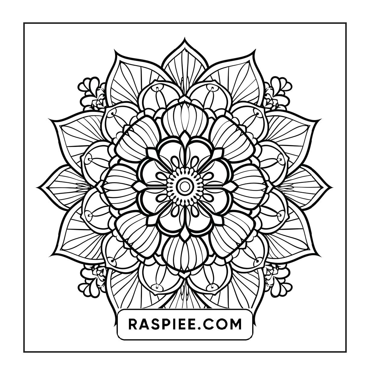 250 Mandala Adult Coloring Pages Vol.1