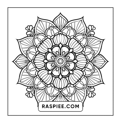 250 Mandala Adult Coloring Pages Vol.1
