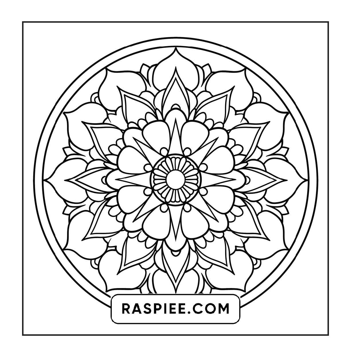 250 Mandala Adult Coloring Pages Vol.1