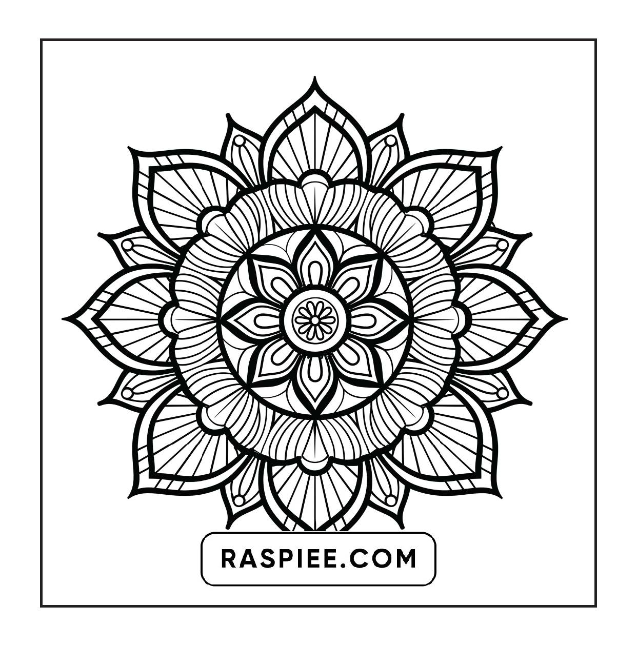 250 Mandala Adult Coloring Pages Vol.1