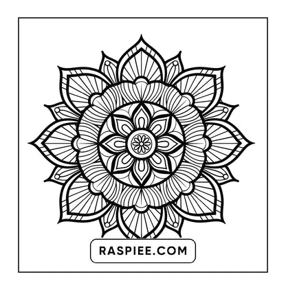 250 Mandala Adult Coloring Pages Vol.1