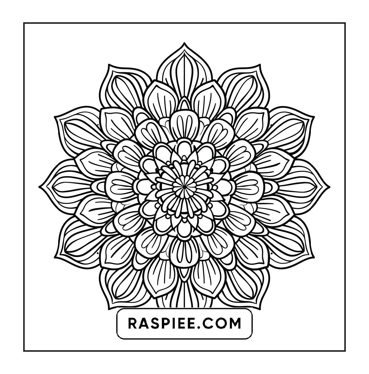 250 Mandala Adult Coloring Pages Vol.1