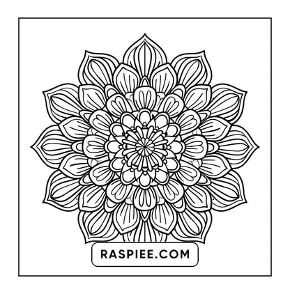 250 Mandala Adult Coloring Pages Vol.1