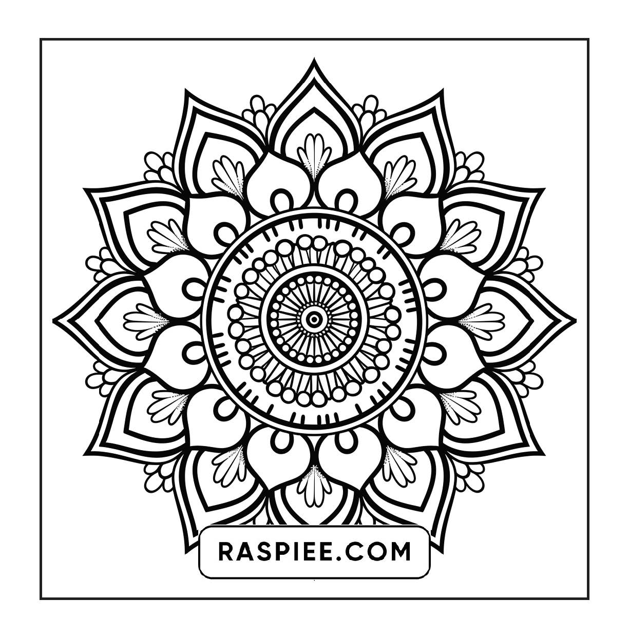 250 Mandala Adult Coloring Pages Vol.1