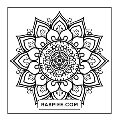 250 Mandala Adult Coloring Pages Vol.1