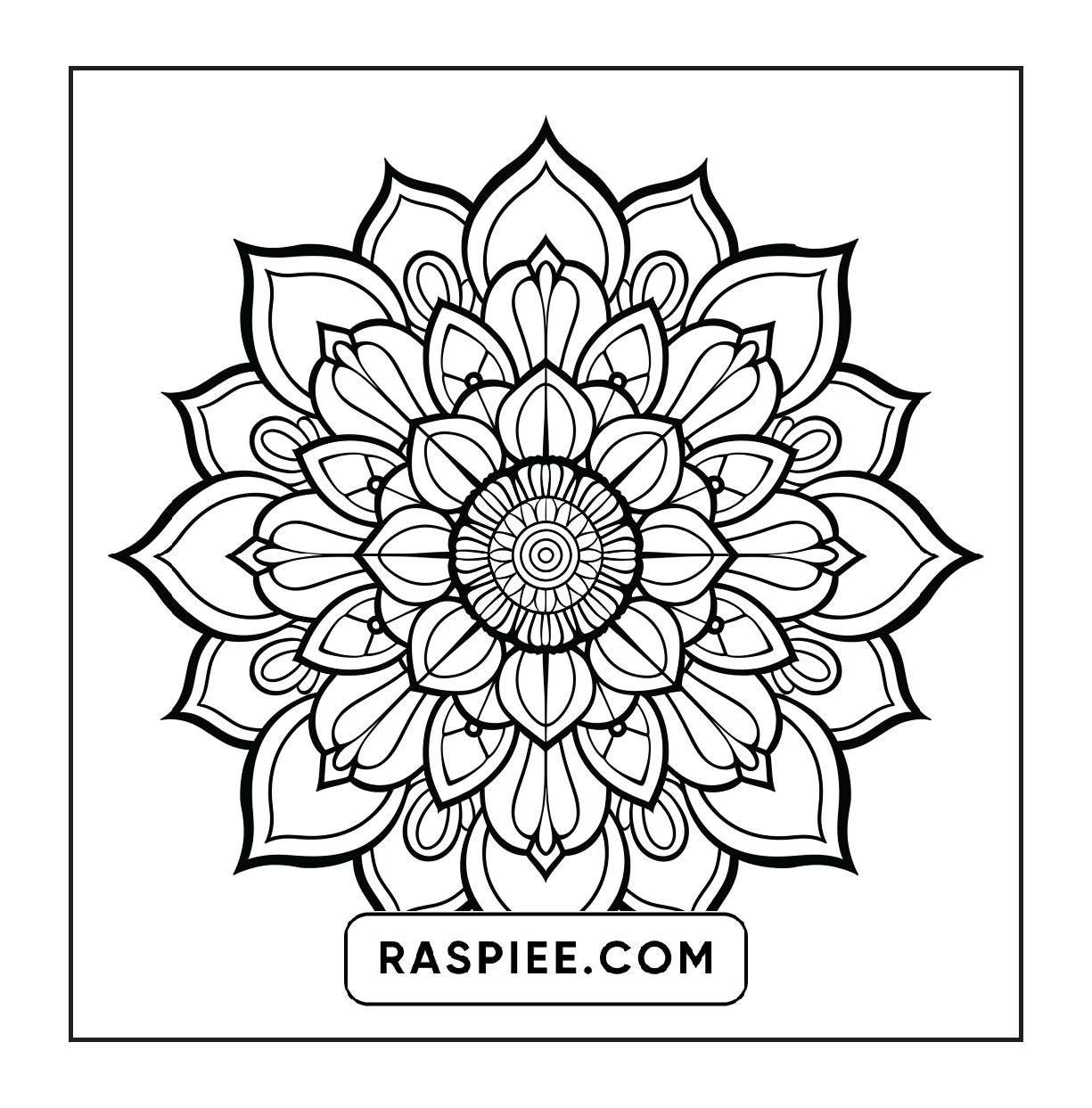 250 Mandala Adult Coloring Pages Vol.1