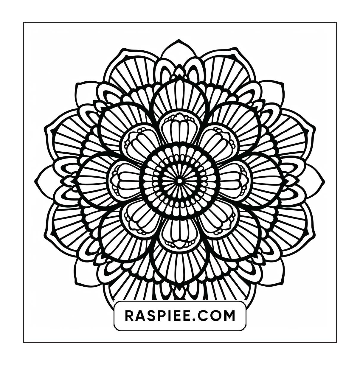 250 Mandala Adult Coloring Pages Vol.1