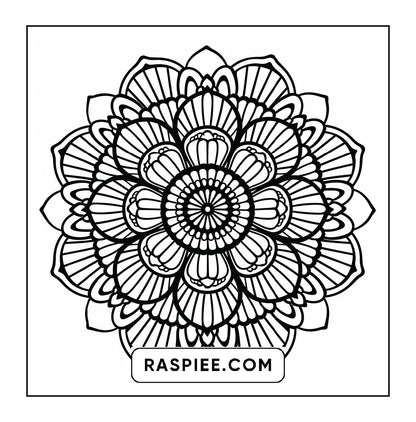250 Mandala Adult Coloring Pages Vol.1