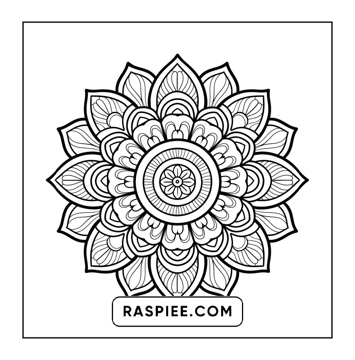 250 Mandala Adult Coloring Pages Vol.1