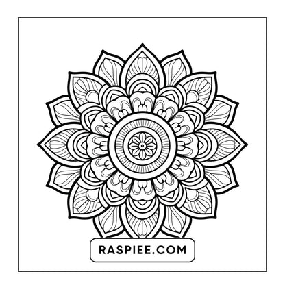 250 Mandala Adult Coloring Pages Vol.1