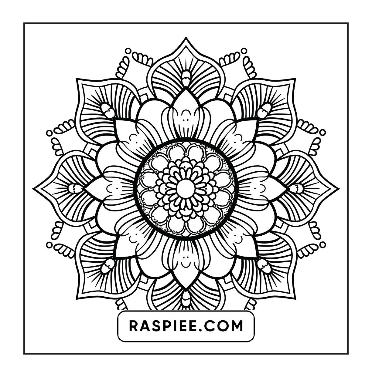250 Mandala Adult Coloring Pages Vol.1
