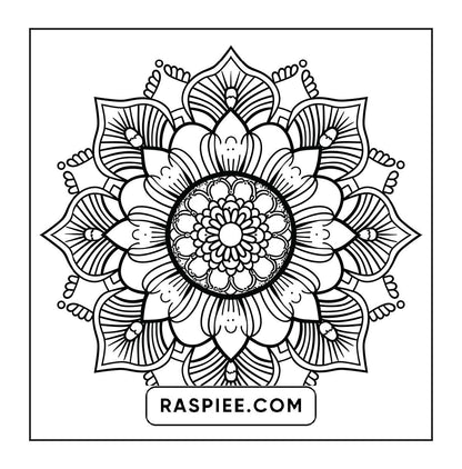250 Mandala Adult Coloring Pages Vol.1