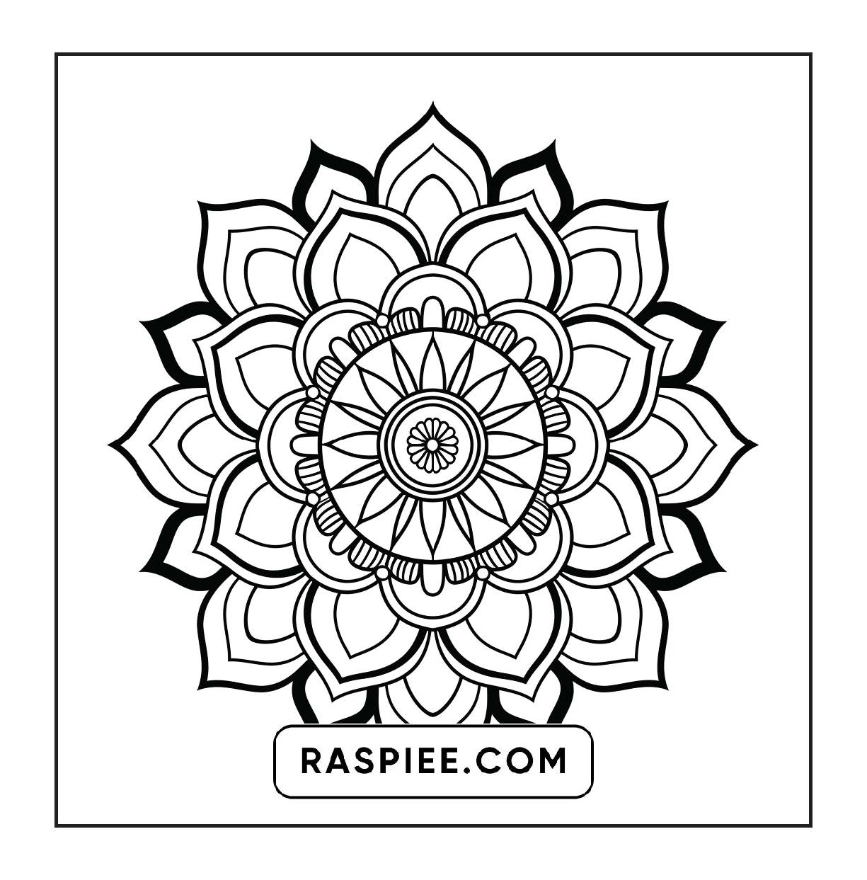 250 Mandala Adult Coloring Pages Vol.1