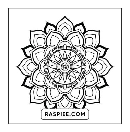 250 Mandala Adult Coloring Pages Vol.1