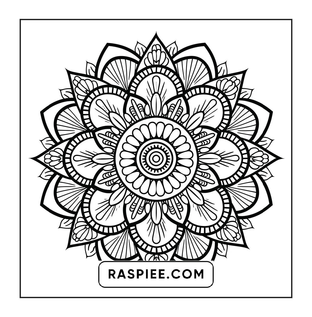 250 Mandala Adult Coloring Pages Vol.1