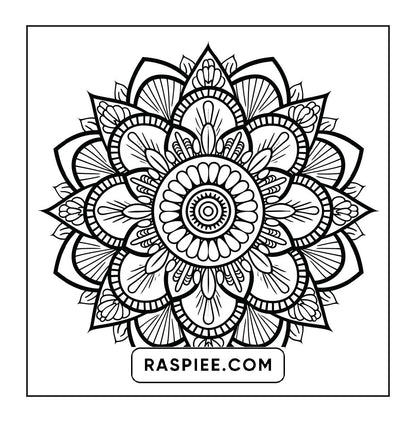 250 Mandala Adult Coloring Pages Vol.1
