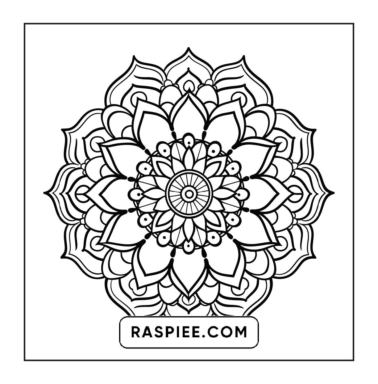 250 Mandala Adult Coloring Pages Vol.1