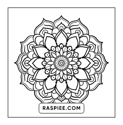 250 Mandala Adult Coloring Pages Vol.1