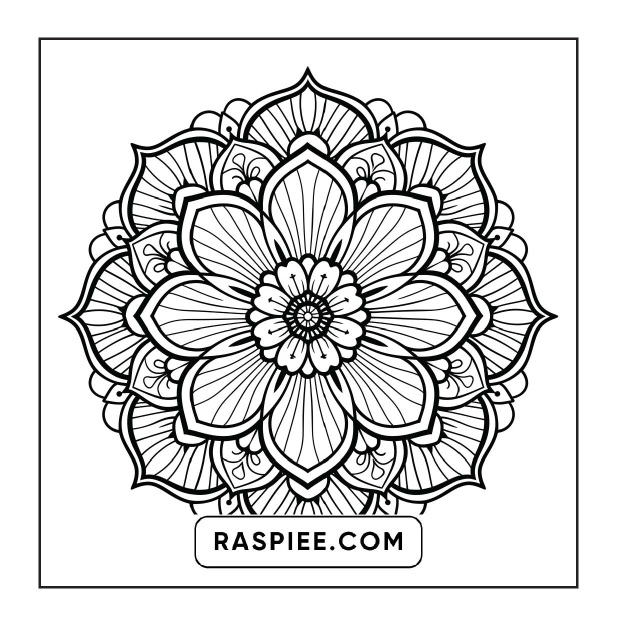 250 Mandala Adult Coloring Pages Vol.1