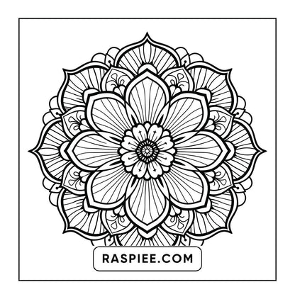 250 Mandala Adult Coloring Pages Vol.1